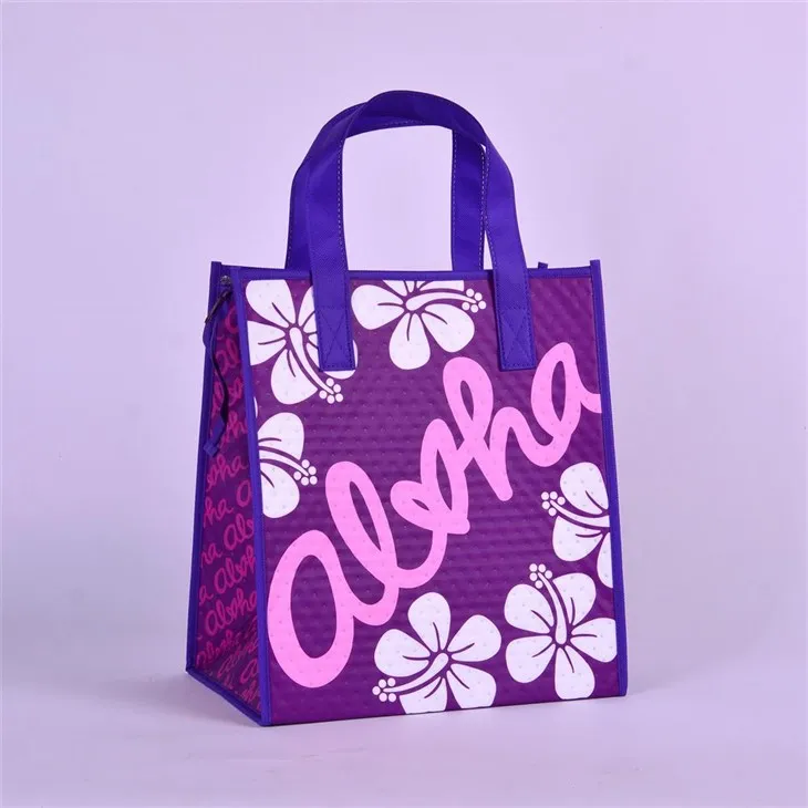 Μονωμένη τσάντα για μεσημεριανό γεύμα