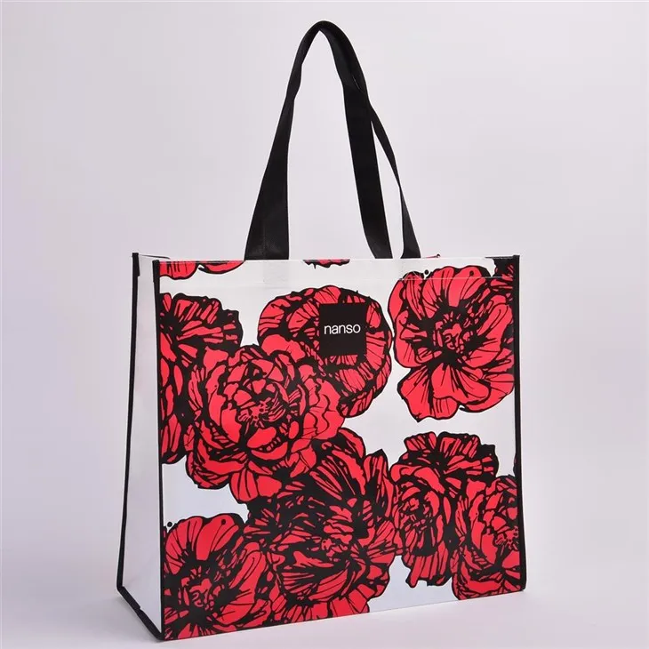 Μη υφασμένες εμπριμέ τσάντες μεταφοράς